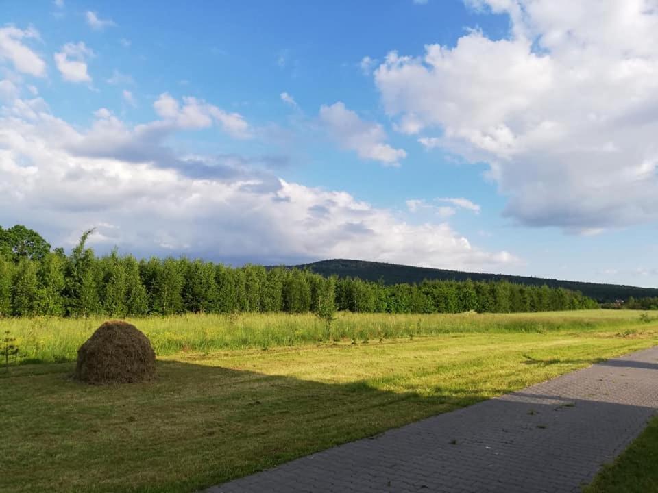 Апартаменти Agroturystka Na Polanie Швєнта-Катажина Екстер'єр фото